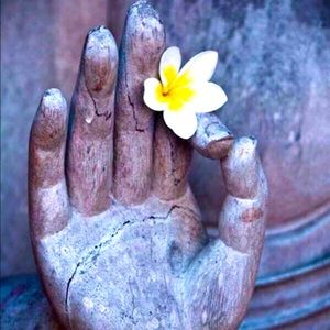 Meet your Posher, Gabby.